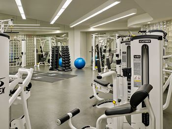 a state of the art gym with weights and cardio equipment